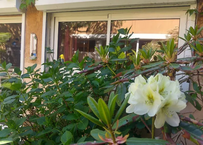 Le Relais De Montchat